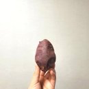 핏유엘