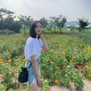 마고(Mago) 네이버블로그