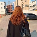 장마철 시작 전, 부스스한 머리 정리한 후기