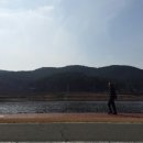 강변길-서천 이미지