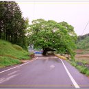 죽산마을 이미지