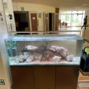 변산중학교 이미지