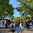 살나리어린이공원 | 🎡 어린이날 서울랜드 방문기 | 9년 만의 서울랜드 가족 나들이, 꿀팁까지 총정리!