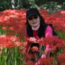 영광상사 이미지