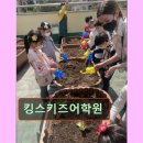 41190-01-07-385 | 강남 대치동 대치 영어학원 어학원 킹스키즈어학원 학여울역 근처의 학원