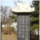 평도공 박은 묘역 | [경기 파주]좌의정 박은, 좌의정 박숭질 묘, 이장을 해도 이정도는 되어야.