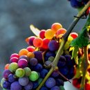 아이센텀 동물메디컬센터 이미지