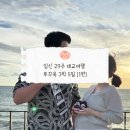 미래카타운 | 12. 임신 29주 태교여행 푸꾸옥 3박 5일 ㅣ ① 계획세우기 예약하기 (비엣젯 항공권 운항취소 이슈)