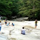 곡성-221 이미지