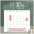 플랜비성형외과