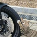 대일바이크 이미지