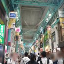 184정육점&편의점 | 도쿄 여행 DAY2 (Wild Cherry Blossom Hostel, 무사시노 플레이스, 카야시마, 지브리 미술관...