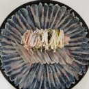 6시내고향 황복 복어 밀키트 택배 주문 복어집 파주 황금수산365
