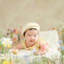 포토엔젤 - 의왕시 계원대학로 10 | 포토엔젤