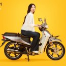 베스트렌트카(주) 이미지