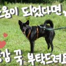 무지PC | [내돈내산] 보부상은 무인양품에서 뭘 살까? | 무인양품(무지) 추천템 | 무인양품 세일 무지위크