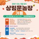 장날 이미지