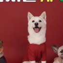 핫템스토리