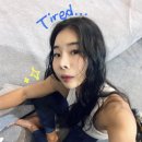 에픽클라임앤요가 | 더클라임 신림 채광 좋은 클라이밍센터 (주차, 위치 등)