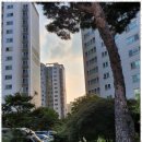자이부동산중개사무소 네이버블로그