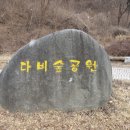 다비숲공원 티스토리