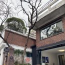 P-5302 | [동대입구카페] 커.잘.알 들의 아지트, 펄시커피 솔직후기 (P3R:C COFFEE,신당동카페,약수역카페)