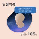 하삼동커피진영 | 15개월 아기, 25주 임산부, 센텀시티 점심약속, 금치, 임장다녀오기, 땡초장육밀키트, 스타벅스 파예...