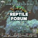 라이언렙타일