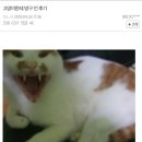 복복 네이버블로그