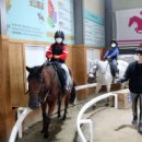 서초스포츠센터 이미지