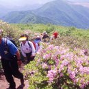 지장천로 이미지