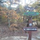 여천초등학교 - 남구 | 여천초등학교