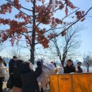 뚝섬한강공원-22 이미지