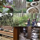 이진호 농장 이미지