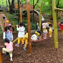 노원골유아숲 이미지