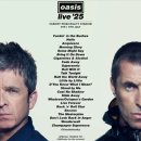 종합운동장 보조구장B | 2025 오아시스 내한 콘서트 후기/live &#39;25 셋리스트/고양 종합운동장 가는 길, 귀가 팁/스탠딩b 시야