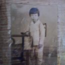 또순이집 이미지