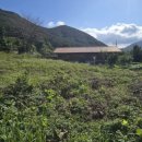 연화산약국 이미지