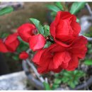 희망화원 이미지