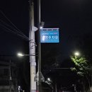 서른살나의펫2 | 대명동애견미용 서른살나의펫2, 대구 애견 재활마사지