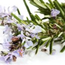 아울렛DC백화점 이미지