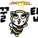 널븐뜰 네이버블로그