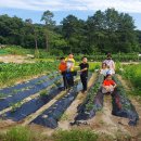 푸른농약사 이미지