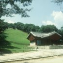 신덕4호 이미지