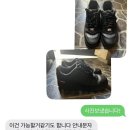 파라스파라 호텔 알바 후기 (래오에이전시)