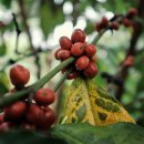 와리농장 이미지