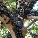 우림슈퍼 이미지