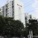 대지