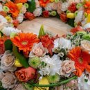 팡팡과일 이미지