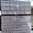 메가월드스파 | 홍천 비발디파크 오션월드 겨울 후기 , 따뜻한 실내 파도풀과 노천탕 매력